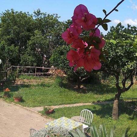 B&B Casa Gemma Lamezia Terme Esterno foto