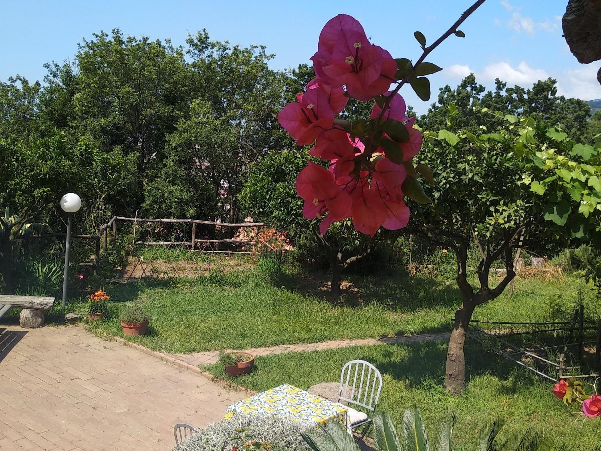 B&B Casa Gemma Lamezia Terme Esterno foto